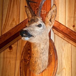 4-4