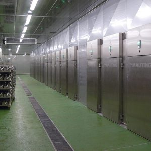 Камеры интенсивного охлаждения ZKM